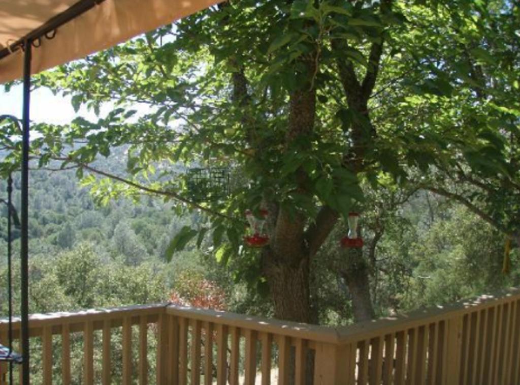 Yosemite Bed And Breakfast มารีโปซา ภายนอก รูปภาพ
